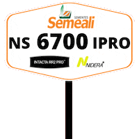 Semeali Sticker by semealisementes