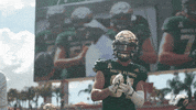 College Football GIF by USF Athletics