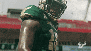 College Football GIF by USF Athletics
