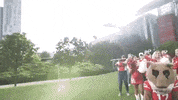 university of houston GIF by Coogfans