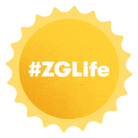 Zglife Sticker by Zillow