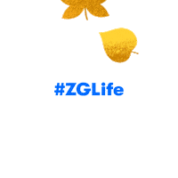 Zglife Sticker by Zillow
