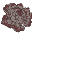 Pink Flower Sticker by heaven_lights