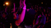 Rock Band Concert GIF by The Revivalists