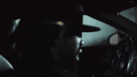 Pink Flamingo GIF by Exit Void