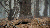 season 2 starz GIF by Ash vs Evil Dead