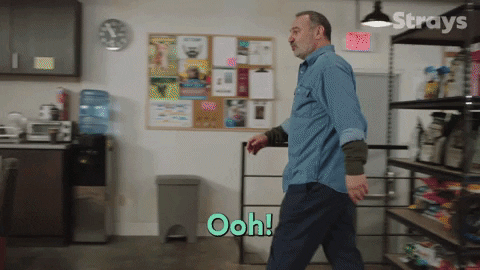 Season 2 Cbc GIF by Strays