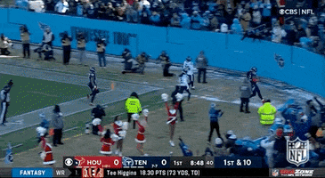 Tennessee Titans Football GIF by NFL
