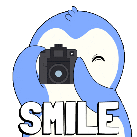 Penguin Smile Sticker by Pudgy Penguins