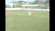 Football Goal GIF by Greenock Morton FC