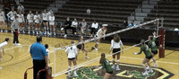 Celebration Dancing GIF by Brown Volleyball