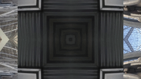Art Video GIF by jorgemariozuleta