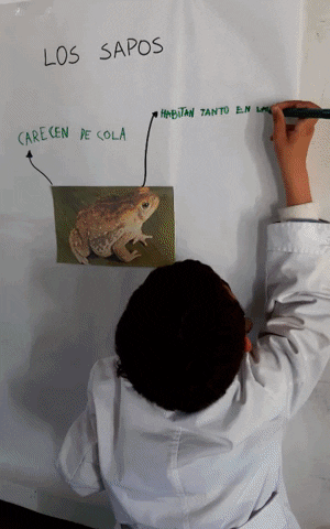 gretelbeatriz giphygifmaker GIF
