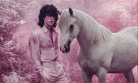 Horse Romance Novel GIF by Jukebox Saints
