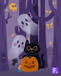 Black Cat Animation GIF by Flocksy