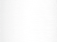 Push Up Work Out GIF by Flocksy