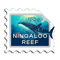 Whale Shark Sticker by Western Australia