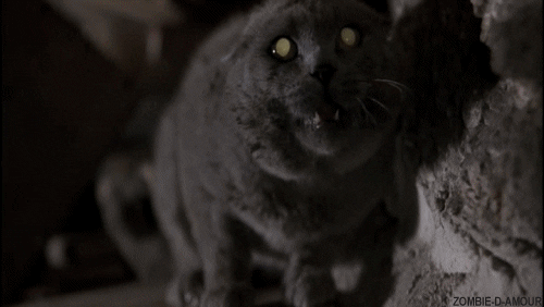 pet sematary GIF