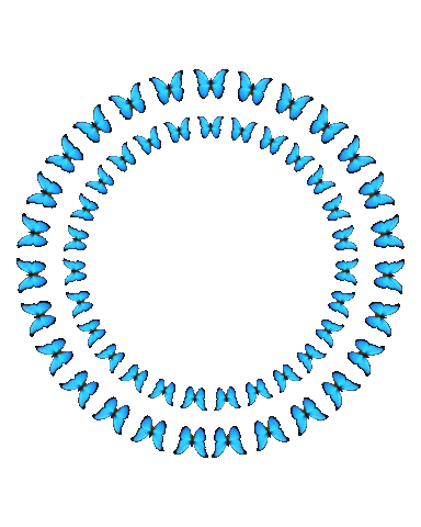 Circle Butterfly Sticker