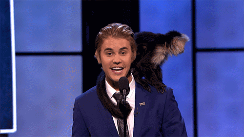 comedy central GIF by mtv