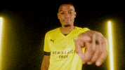 Soccer Celebration GIF by New Mexico United