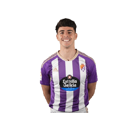 Football Soccer Sticker by Real Valladolid