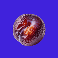 Tired Fim GIF