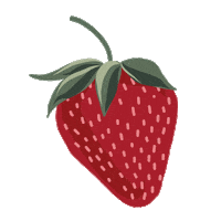 Strawberry Fields Sticker by Harveys Seatbelt Bag