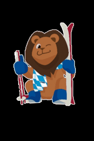 bsvski ski bsv bayerischer skiverband schorski GIF