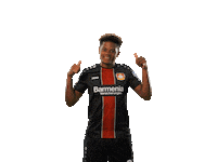happy dance Sticker by Bayer 04 Leverkusen