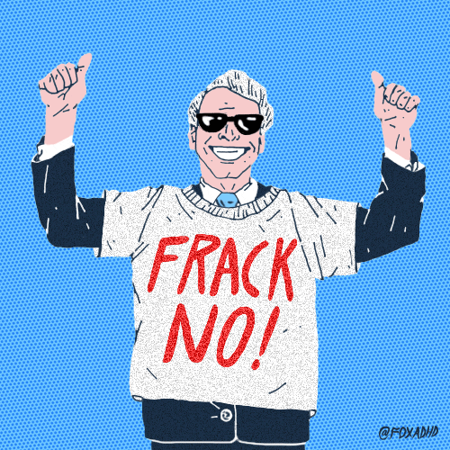 New York Fox GIF by gifnews