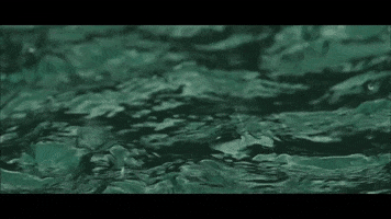 film fashion GIF by CATTURA Production