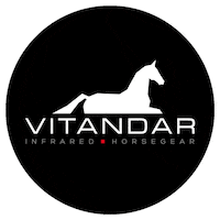 Horse Dressage Sticker by vitandar