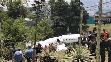 Private Jet Originating From Austin, Texas, Crash Lands in Honduran Capital