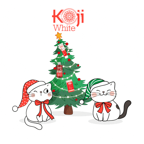kojiwhite giphyupload cat christmas xmas GIF