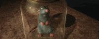 hungry ratatouille GIF by Disney Pixar