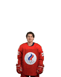 Ice Hockey Goal Sticker by International Ice Hockey Federation