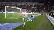 St Etienne Rage GIF by AS Saint-Étienne