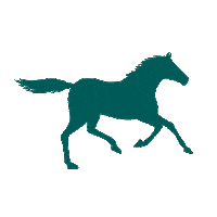Horse Sticker by Pferdesporthaus Loesdau