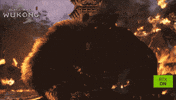 Bear Pc GIF by NVIDIA GeForce