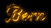 bernie sanders burn GIF by Matthew Butler
