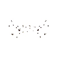 Fashion Show Sticker by heaven_lights