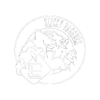 Cornhole Sticker by Slicky Baggers