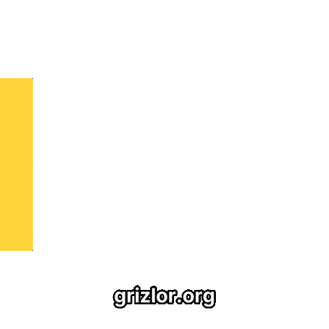 Bear Gradient Sticker by grizlor