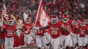 university of houston go coogs GIF by Coogfans