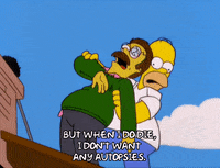 homer simpson GIF
