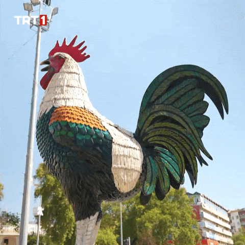 Good Morning GIF by TRT