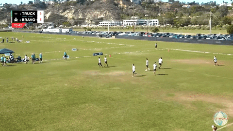 flikulti ultimate frisbee flik GIF