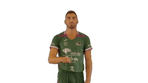 Liga Endesa Basketball Sticker by ACB