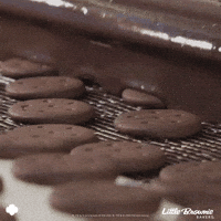 GIF by Little Brownie Bakers